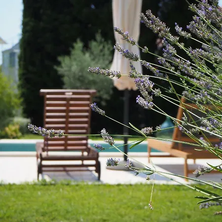 Apartment Casa Bamboo *